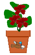 The Site Fights Spirit Flowers