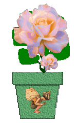 The Site Fights Spirit Flowers