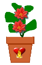 The Site Fights Spirit Flowers