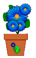 The Site Fights Spirit Flowers