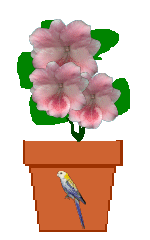 The Site Fights Spirit Flowers