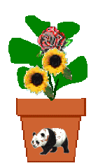 The Site Fights Spirit Flowers