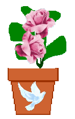 The Site Fights Spirit Flowers