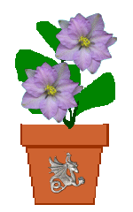 The Site Fights Spirit Flowers