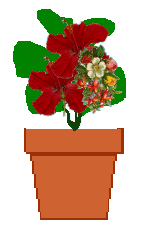 The Site Fights Spirit Flowers