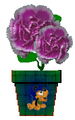 The Site Fights Spirit Flowers