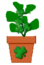 The Site Fights Spirit Flowers