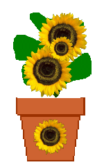 The Site Fights Spirit Flowers