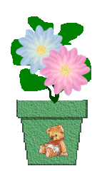 The Site Fights Spirit Flowers