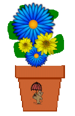 The Site Fights Spirit Flowers