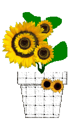 The Site Fights Spirit Flowers