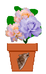 The Site Fights Spirit Flowers