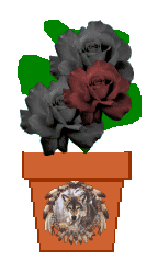 The Site Fights Spirit Flowers