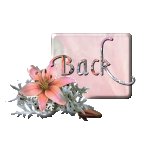 Click here to return to the home page of REFLECTIONS of WOLFTATTOO