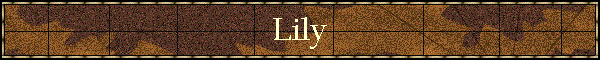 Lily