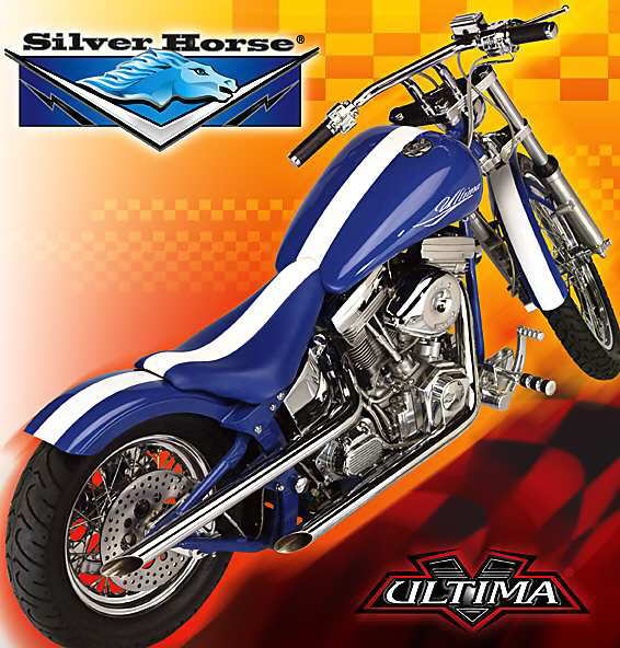 silver.jpg (12963 bytes)