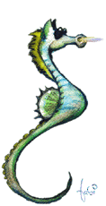 Sea Horse
