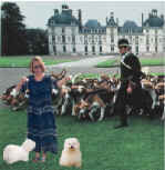 PAM_DOGS.jpg (1055385 bytes)