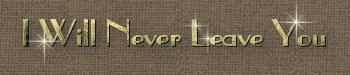 I Will Never Leave You