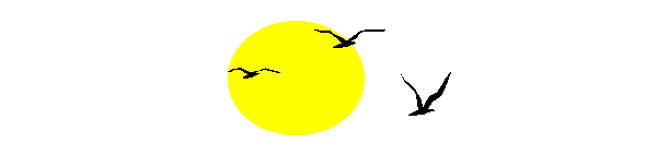 sungulls.gif - 11467 Bytes