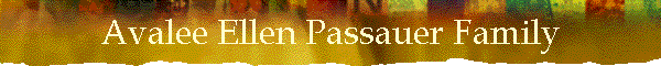 Avalee Ellen Passauer Family