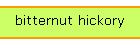 bitternut hickory