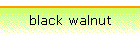 black walnut