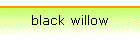 black willow