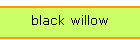 black willow