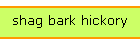 shag bark hickory