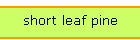 short leaf pine