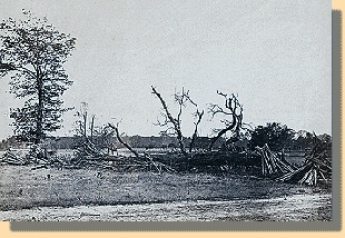 Cold Harbor Battlefield from Extreme Southern Lines