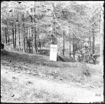 General J.E.B. Stuart's grave with temporary wooden marker.