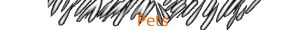 Pets