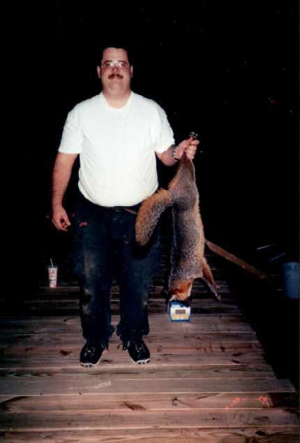 First_Fox.JPG (19268 bytes)