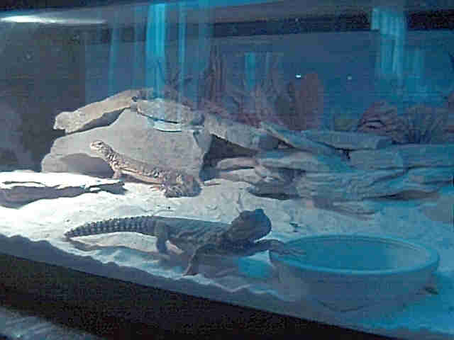 FEED ME................NOW!!!!!!!!!!