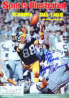 Lynn Swann (Super Bowl X)