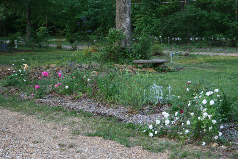 The Long Lawn Border blooming in May 2007