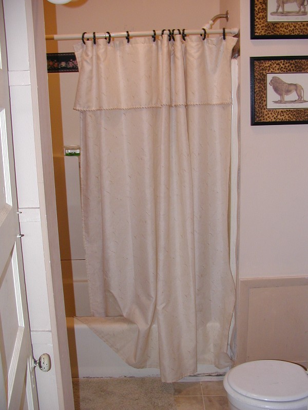 The bathroom before