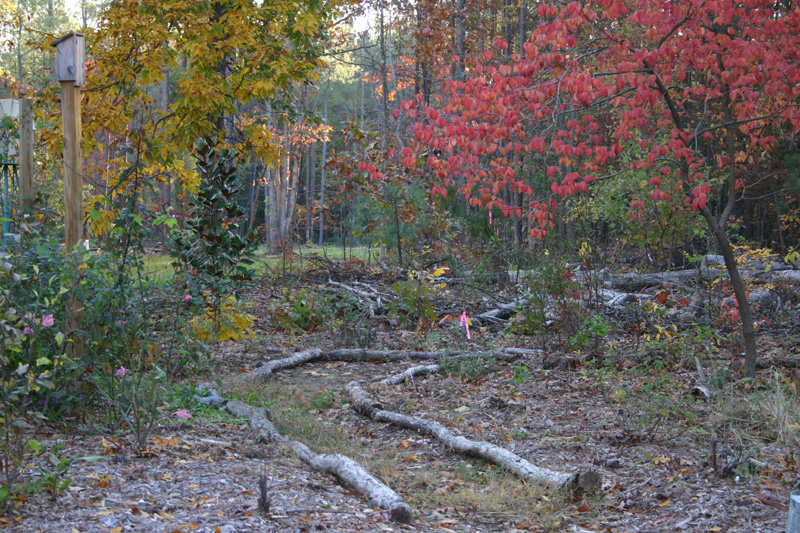The new Morning Garden in the fall 2006