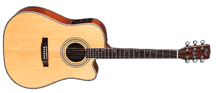 Cort MR 730FX Acoustic/Electric Guitar w/ Fishman
