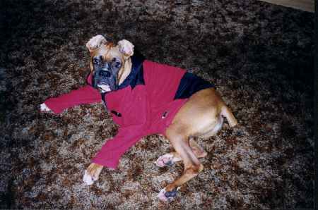 Hey, I gotta stay warm, too.