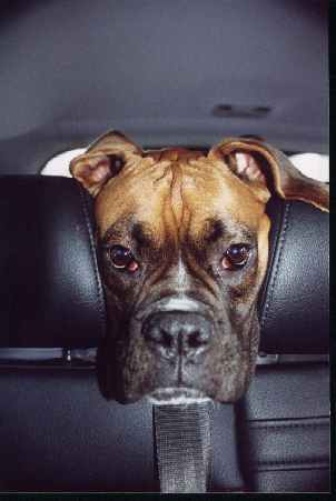 Can I get some leverage?