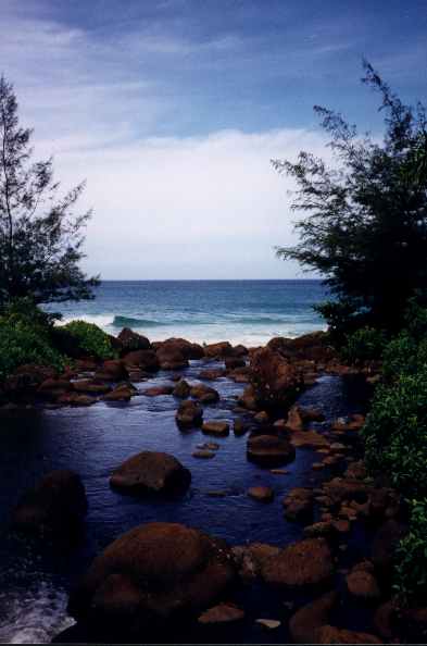 lookahead.jpg (20984 bytes)