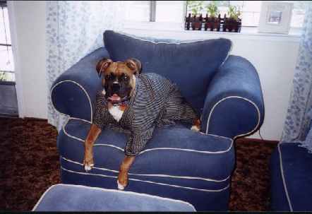 oscarrobe.jpg (15193 bytes)