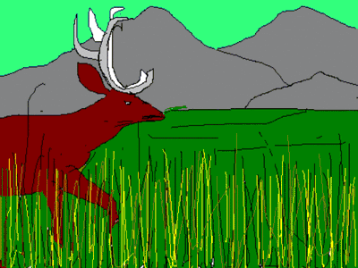 a barasingha gif by uday patel