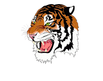 India Tiger