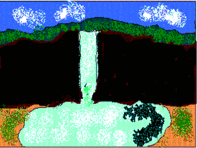 tiger photo Aditya Singh 