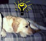 Genius Bess pondering the meaning of life