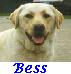 Bess